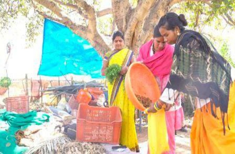 Success story - 278 हेक्टेयर में सब्जी उत्पादित कर महिलाओं ने कमाए 94 लाख