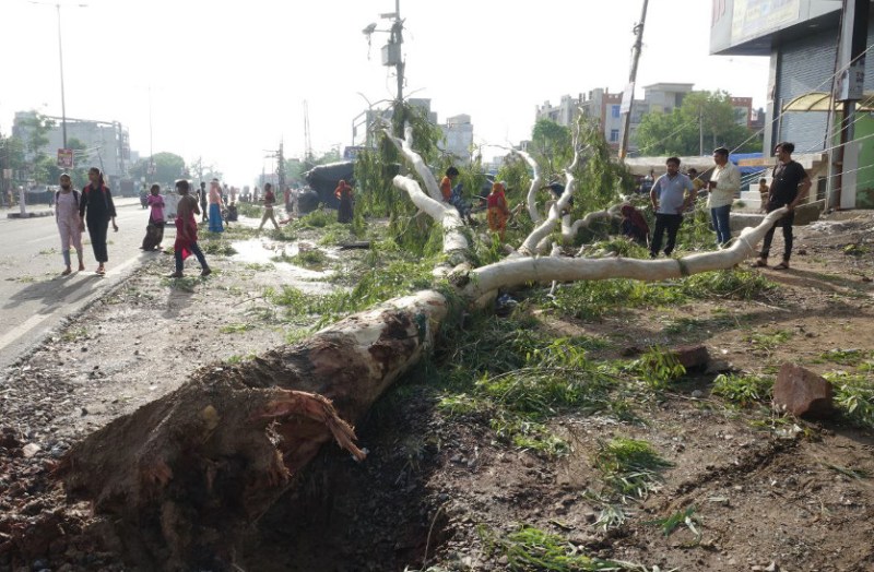 weather update: woman died storm and rain in dausa
