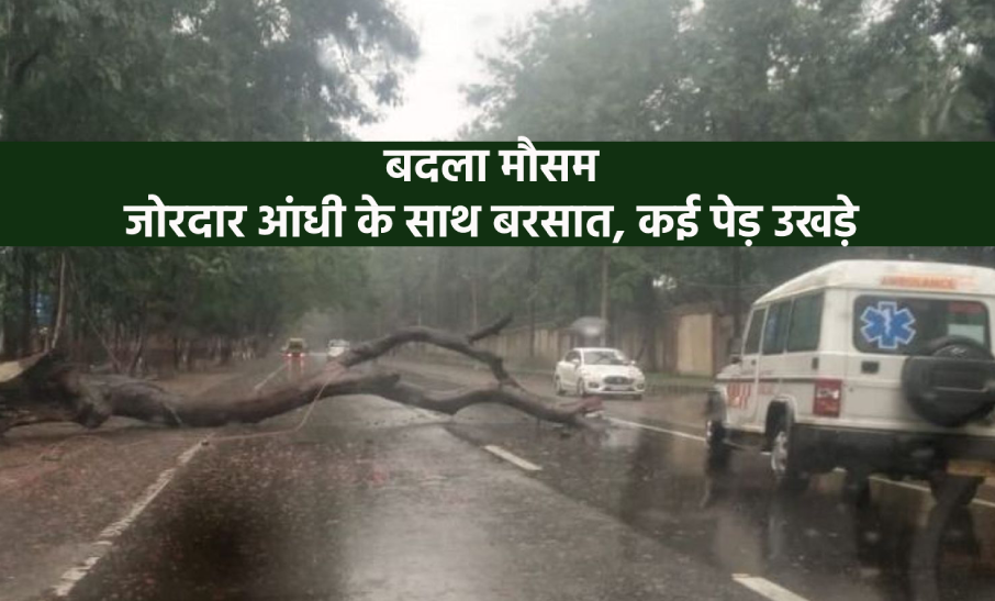 weather_bhopal.png