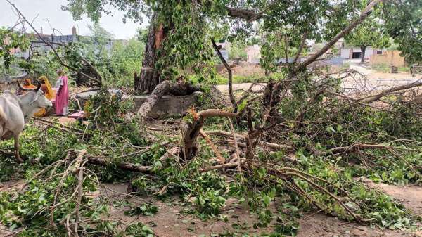 Stormy rains caused havoc, life disrupted