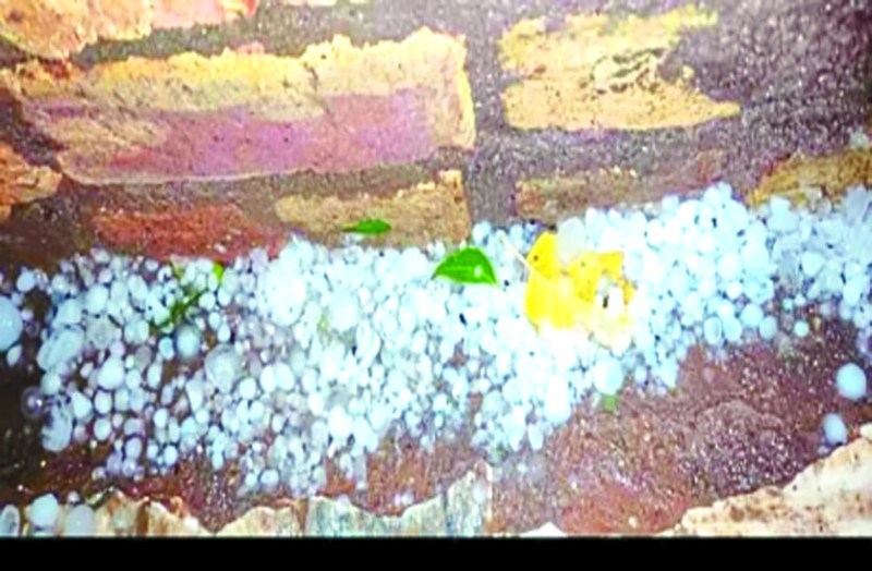 Weather News: सीकर में सूंटे संग बारिश, फतेहपुर में ओले