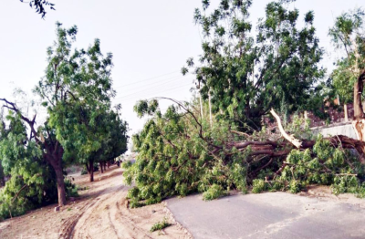 Short video poster image