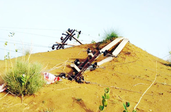 Patrika Photo Gallery:  अंधड़ का कहर: सैकड़ों खम्भे धराशायी, तार टूटे, बिजली तंत्र तहस-नहस