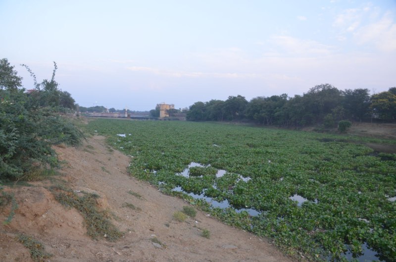 फाइलों से फिर निकली साबरमती, एक दल फिर जाएगा अहमदाबाद देखने