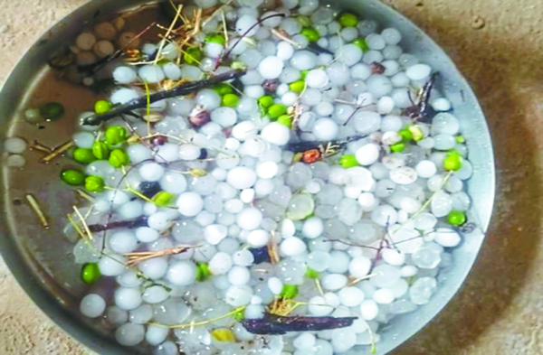 Patrika Photo Gallery:  अंधड़ का कहर: सैकड़ों खम्भे धराशायी, तार टूटे, बिजली तंत्र तहस-नहस