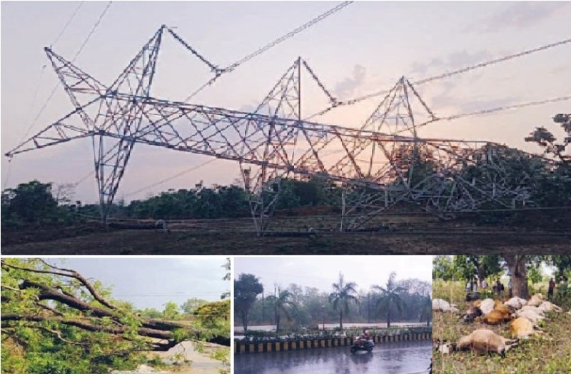 Weather Alert : नौतपा में मूसलाधार बारिश और आंधी का कहर, हाईटेंशन टावर गिरा, 23 मवेशी की मौत