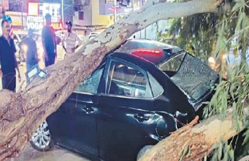 Weather update: On the third day of Nautapa, thunderstorms wreaked havoc in 10 districts, temperature dropped by so many degrees