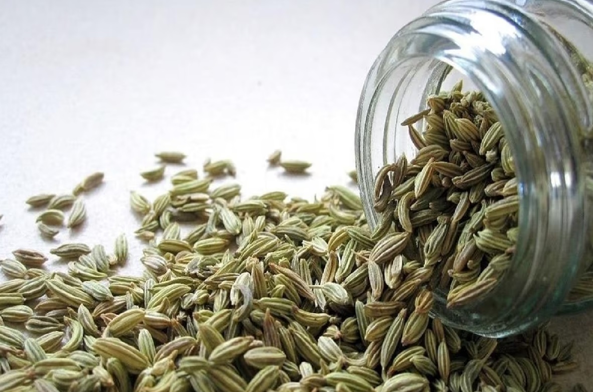 Fennel Seeds: सौंफ में तेजी का दौर, अचार और सब्जियों का जायका हुआ महंगा