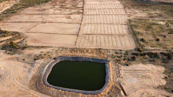 गोधन: गोबर से बन रही गैस, अब खाद से चारा भी