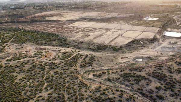 गोधन: गोबर से बन रही गैस, अब खाद से चारा भी