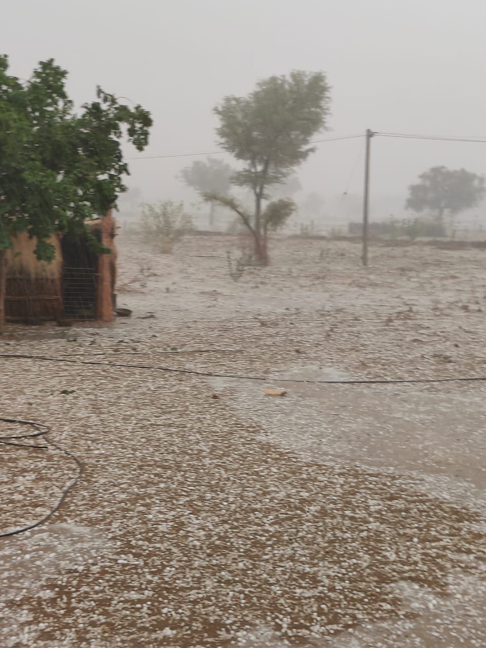 बाड़मेर के ग्रामीण इलाकों में तूफान, बारिश और ओले, 60 किमी प्रतिघंटे की रफ्तार से चली हवा