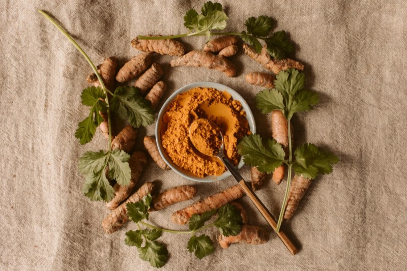 Research: प्राकृतिक औषधीय पौधों में छुपा है डायबिटीज का उपचार, शोधकर्ताओं ने अध्ययन में किया दावा, जानिए क्या अहम बातें कहीं रिसर्चर्स ने?