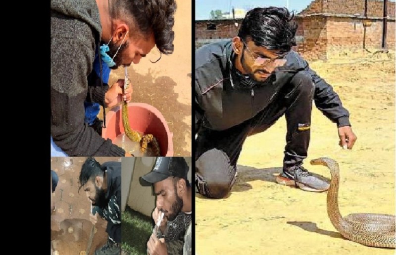 'Snakeman' returned from death 29 times to save snakes, still did not give up his passion, 6 thousand snakes...