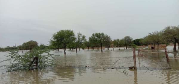 मौसम हुआ खुशगवार