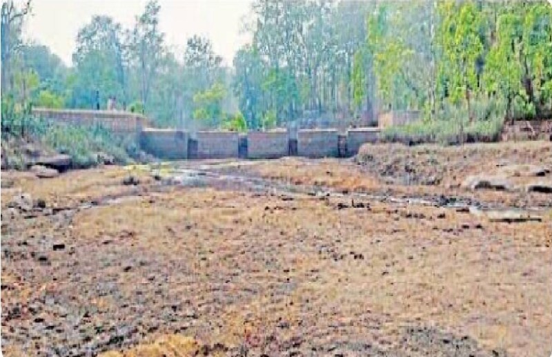 नहीं बचा चुल्लूभर पानी.... मछली मारने के लिए खाली किया डैम , बूंद - बूंद को तरसे जानवर