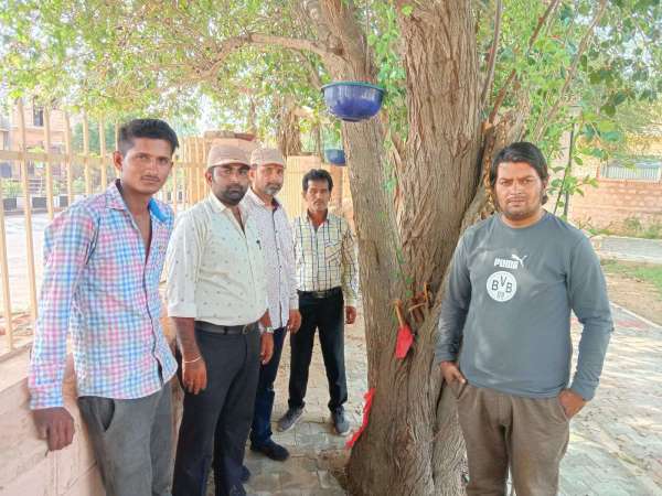 -11000 परिंडे लगाए, पक्षियों को निर्जला का पारणा