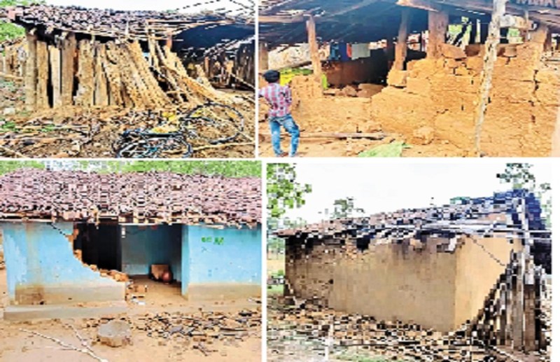Terror Of Elephants: Villagers panicked by the knock of elephants, caused huge damage to crops