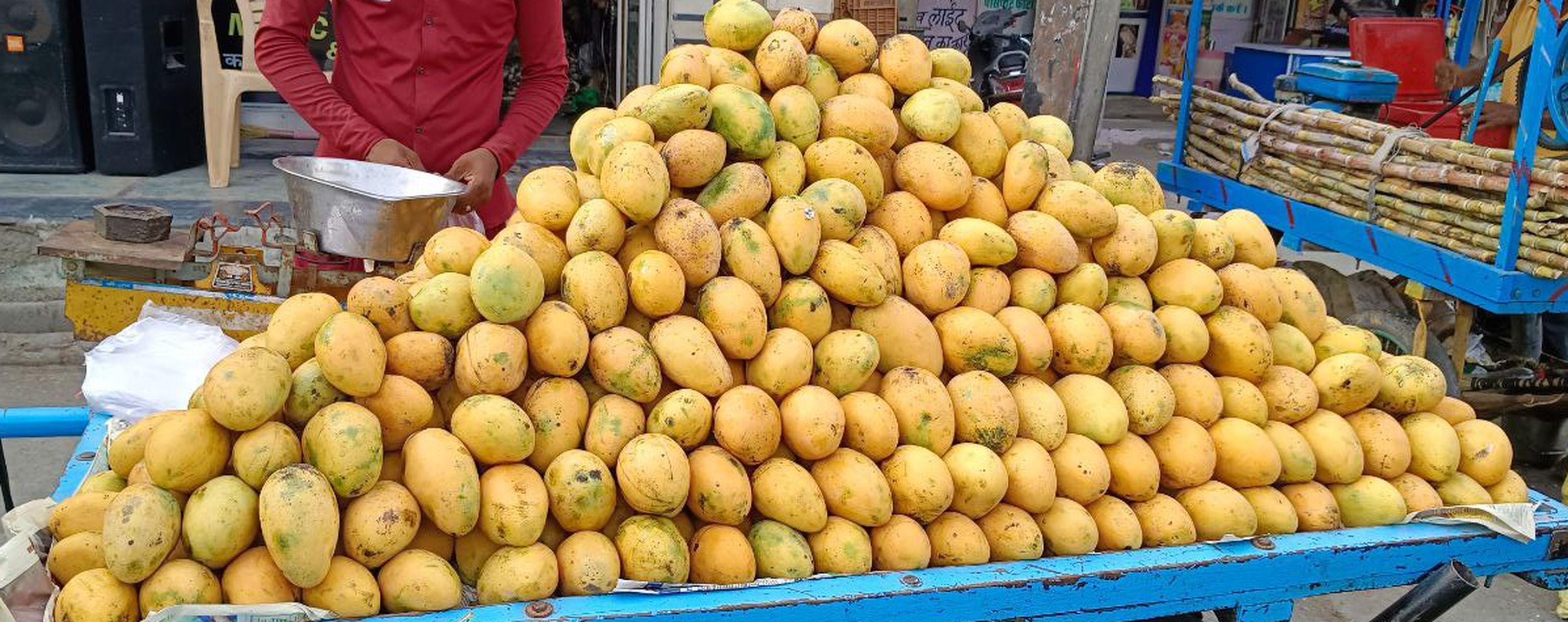 आम इस बार हो गए 'खट्टे' , आम आदमी की पहुंच से दूर