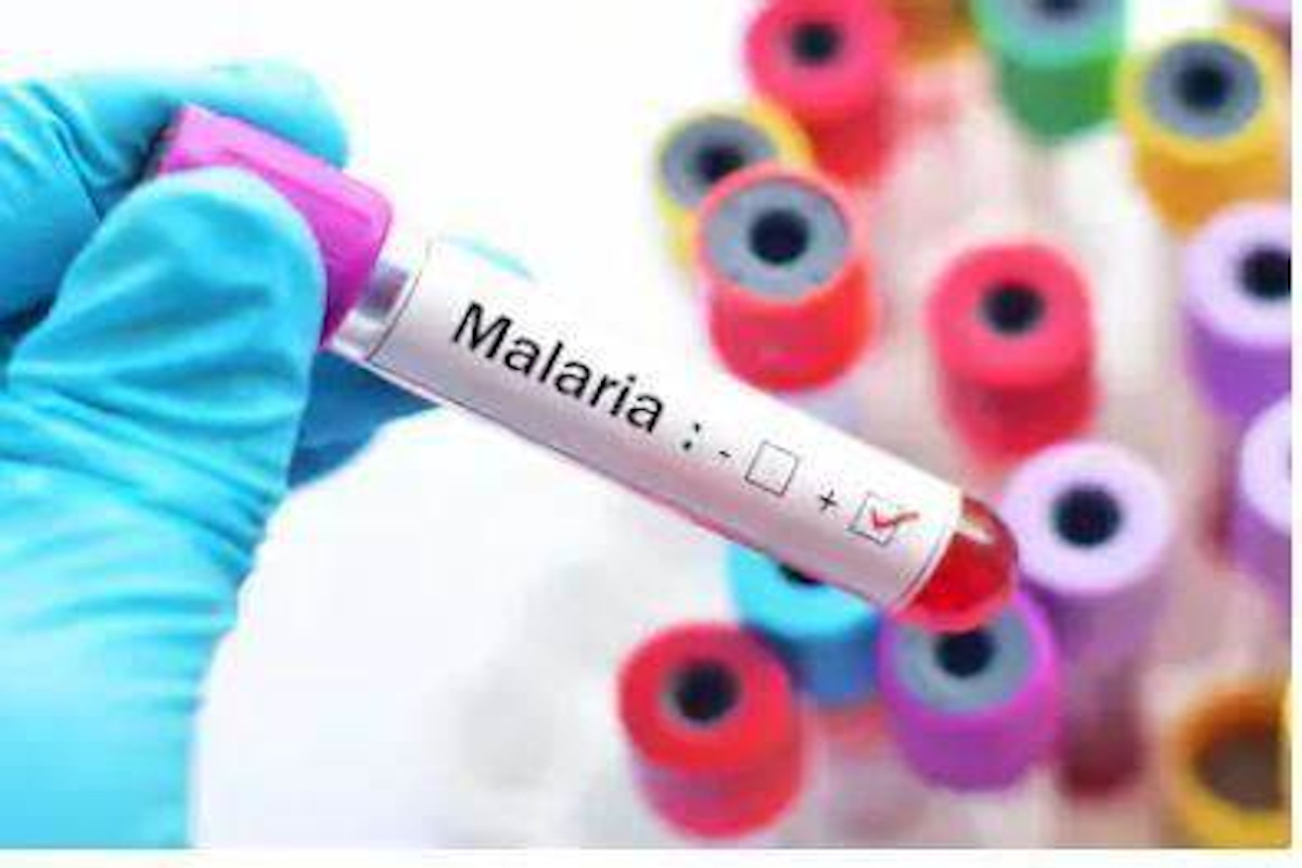  मलेरिया की  जांच में हुआ इजाफा