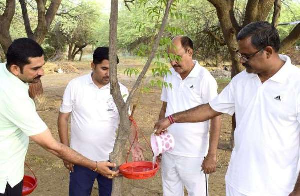 पक्षी मित्रों ने लगाए 1100 परिंडे...