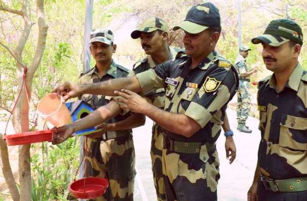 पक्षी मित्रों ने लगाए 1100 परिंडे...