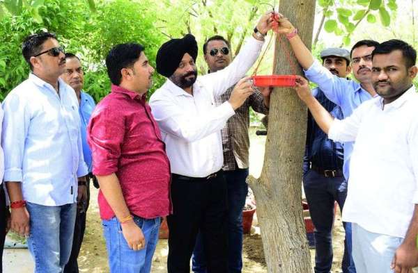 पक्षी मित्रों ने लगाए 1100 परिंडे...