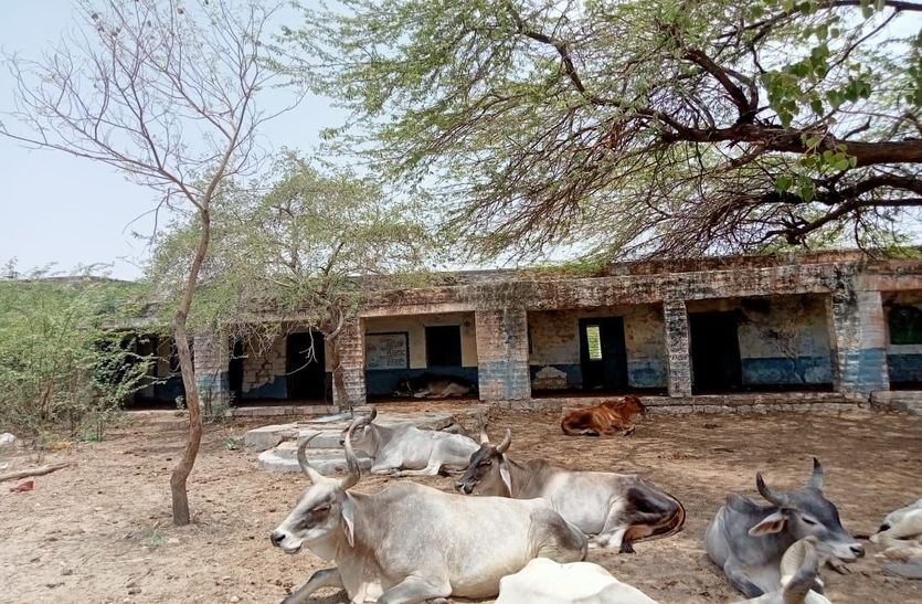 savetheschool...राजस्थान में यहां तो जागे अधिकारी, प्रदेश में कब होगी जाग