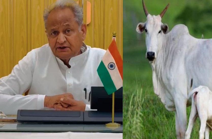kamdhenu_bima_yojana.jpg