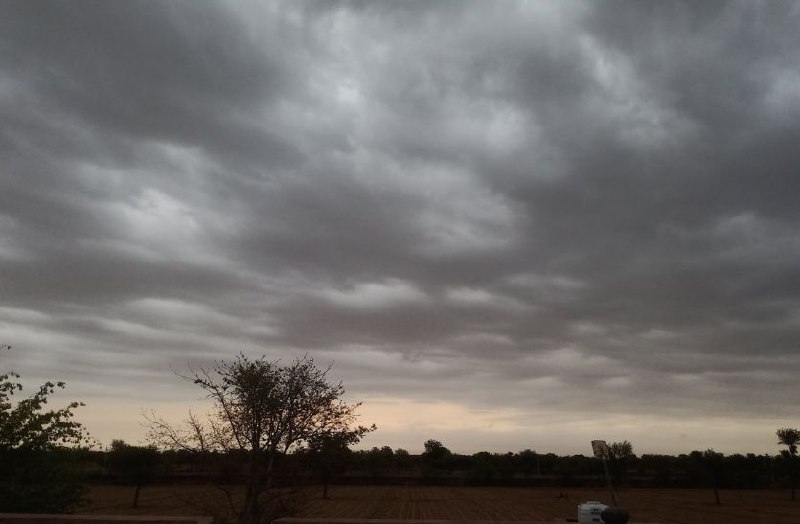 Monsoon 2023 When Onset In Rajasthan Reached In Lakshadweep IMD Rainfall Cyclone Hailstorm Alert For Next 5 Days