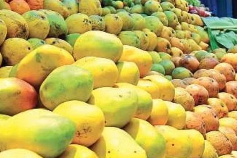 UP mangoes