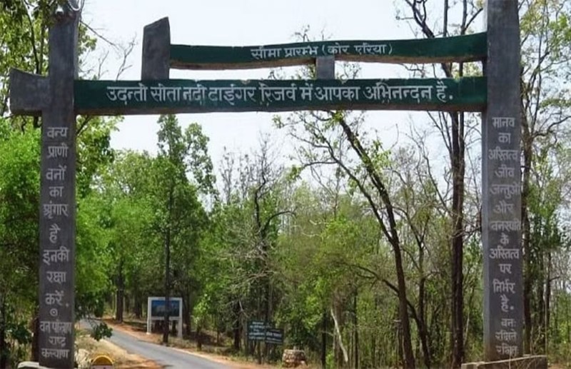 पहली बार 13 वनभैंस खुली हवा में लेंगे सांस