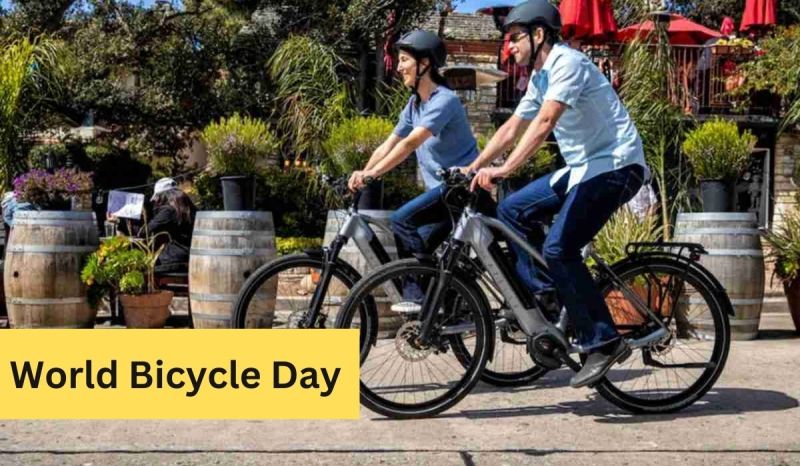 world_bicycle_day.jpg