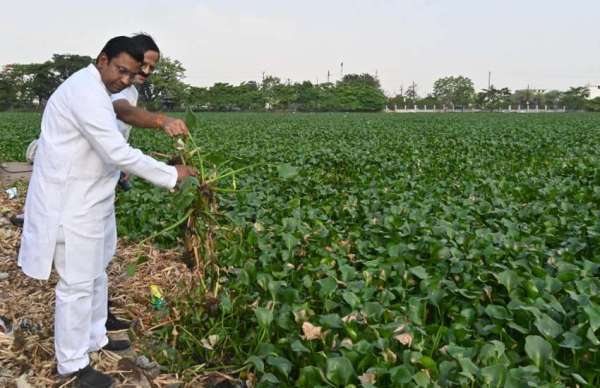 इस अवसर पर मुख्य अतिथी के रुप में जिला सहकारी बैंक के अध्यक्ष पंकज शर्मा शामिल हुए। अमृतं जलम् अभियान की सराहना की और पर्यावरण संरक्षण पर अपने विचार व्यक्त किए ।