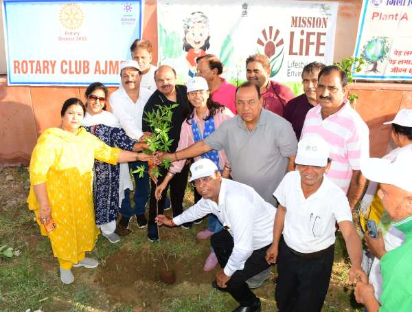 world environment day