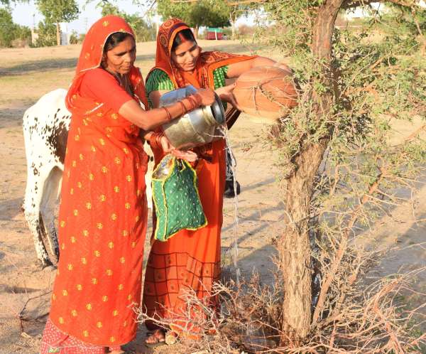 World Environment Day