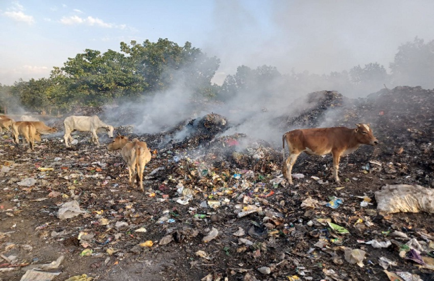 VIDEO : एक दिन पहले मनाया पर्यावरण दिवस और अब आई ऐसी तस्वीर…