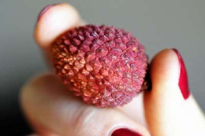 lychee2.jpg