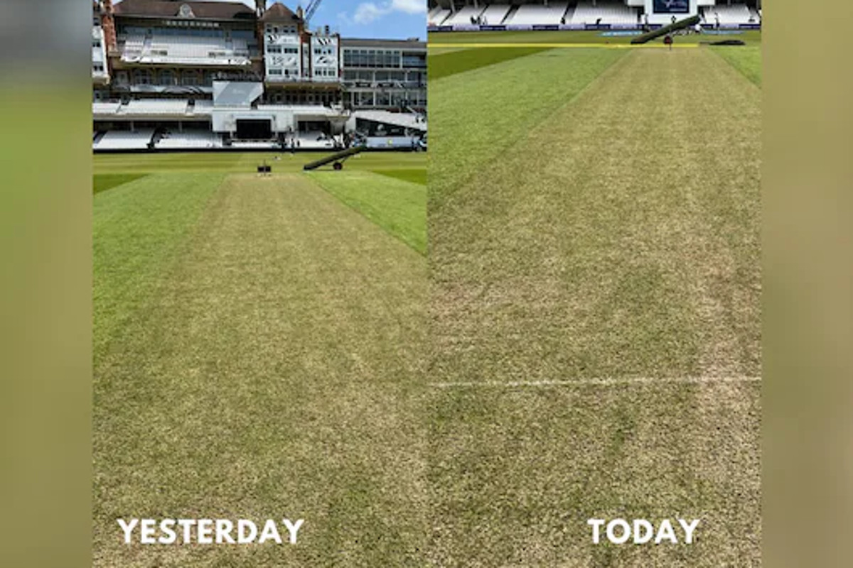 wtc-final-2023-match-condition-of-oval-pitch-was-changed-dinesh-karthik-showed-photos.jpg