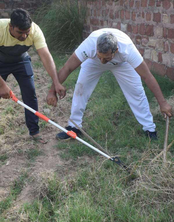 Snakes left the forest and camped in the house... see photos