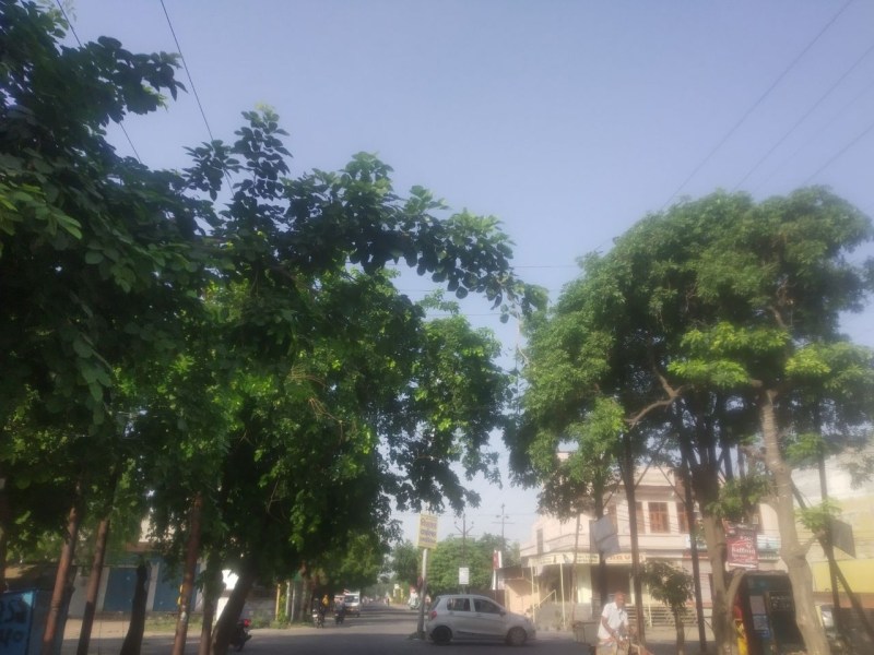 UP Weather forecast: 20 जून तक भीषण गर्मी के आसार, इन दस जिलों में लू का अलर्ट