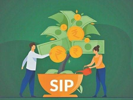 sip3.jpg