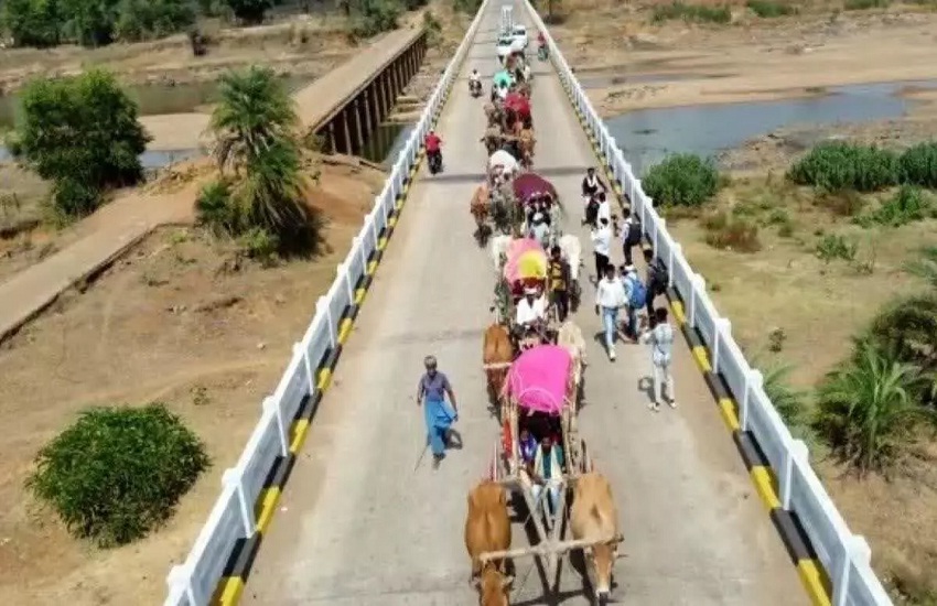 अनोखी बारात… न घोड़ा न गाड़ी 11 बैलगाड़ी से दूल्हा पहुंचा ससुराल ...