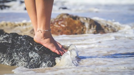 feet3.jpg