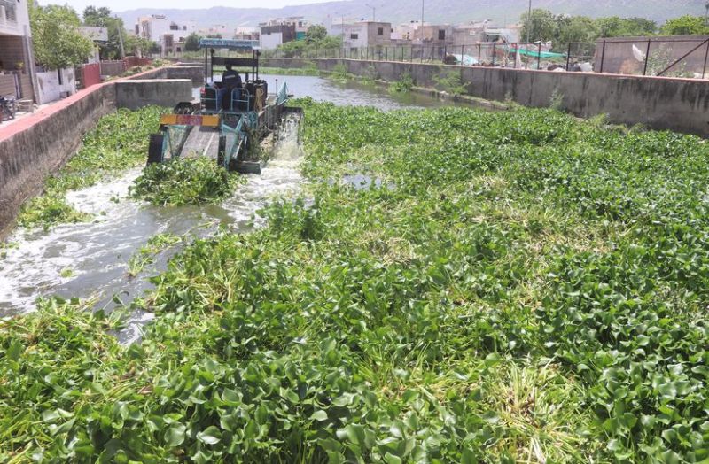 अजमेर की इस नदी में फैला जलकुम्भी का जाल, निकालने के लिए तोड़नी पड़ी दीवार