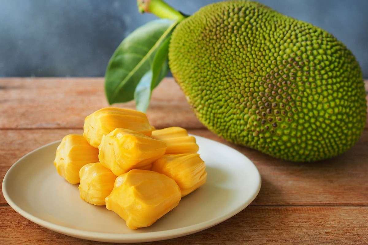 jackfruit_fruits.jpg