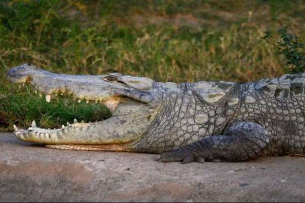 Weather very hot rain alert issued in UP