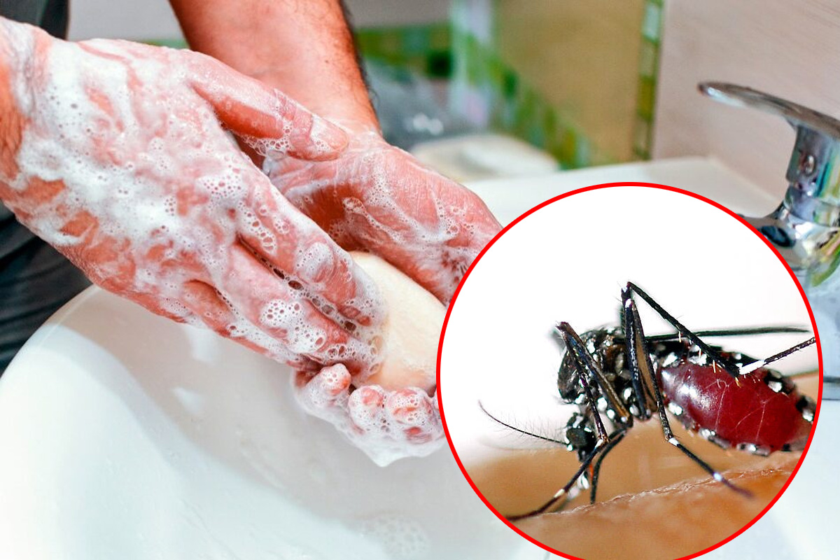 Soap Attracts Mosquitoes क्या आपको भी काटते है मच्छर, तो अपने नहाने