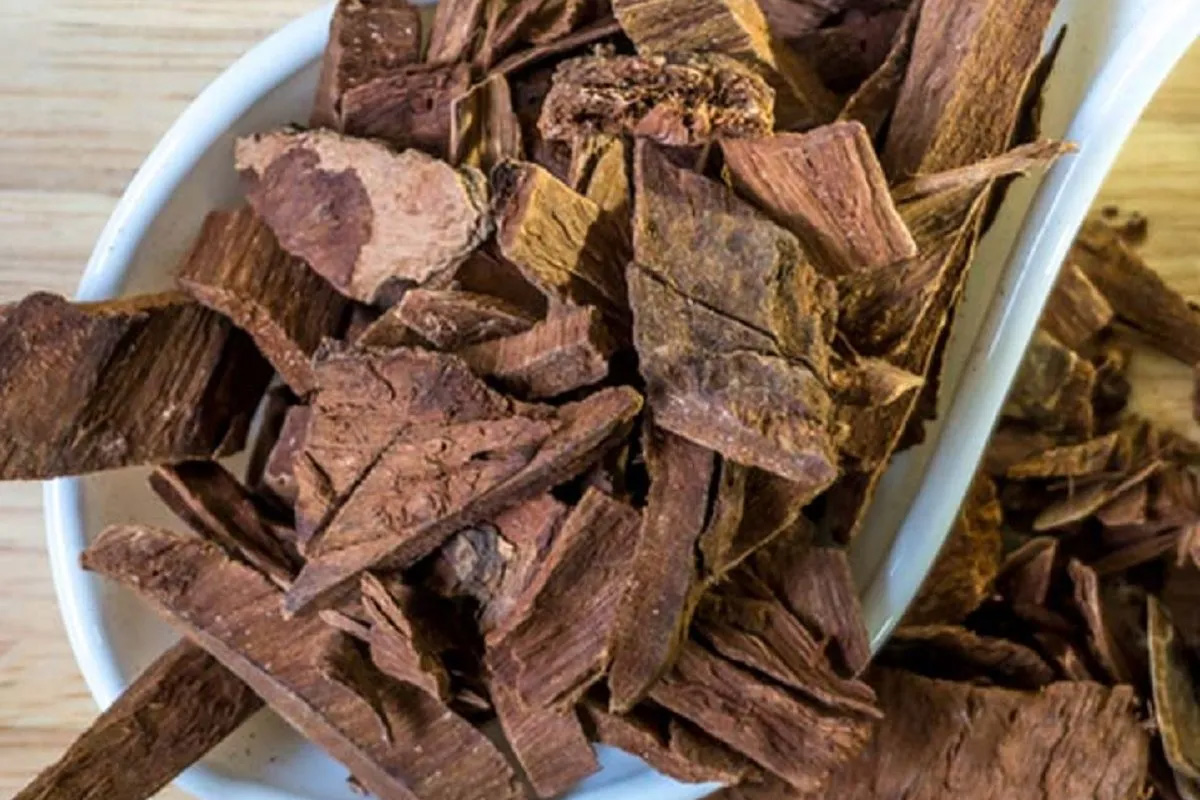 Arjun ki chal ke fayde