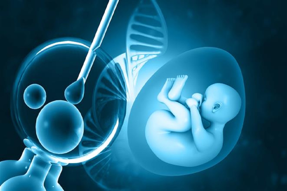 sythentic_embryo1.jpg