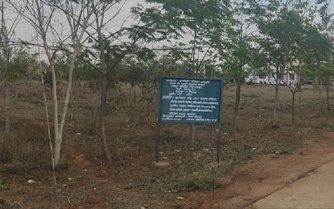 सब्जी-धान के खेतों की मेढ़ से किसान बढ़ा सकेंगे आय